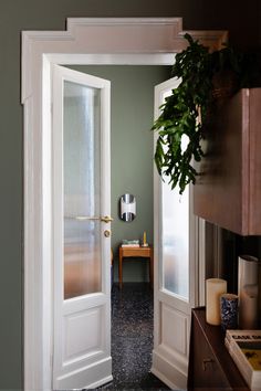 an open door leading to another room with a plant