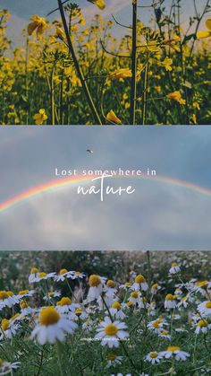 two pictures with flowers and a rainbow in the middle one has words that read, lost somewhere in nature