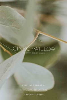 the cover of ginko and willow, featuring white leaves with green stems in the background