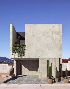 a concrete building with cactus plants in front of it