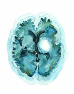 a watercolor drawing of a human brain