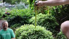 a man in a green shirt standing next to some bushes and trees with his hand on the ground