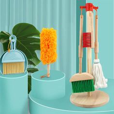 three different types of cleaning brushes and brush holders on top of blue pedestals with monster leaves in the background