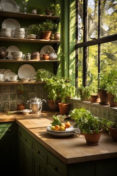 a kitchen with green walls and lots of potted plants on the windowsills