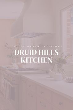 the words druid hills kitchen are overlaid by an image of a stove and sink