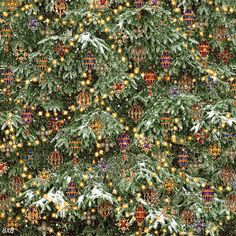 a christmas tree with lights and ornaments on it