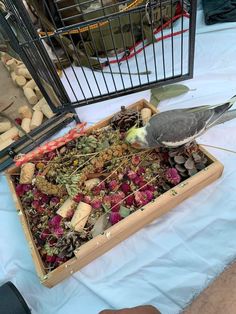 a bird standing next to a box filled with food and wine corks on a table