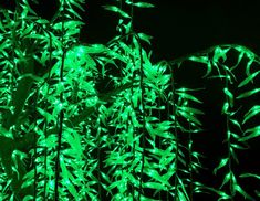 green lights in the shape of leaves on a pole