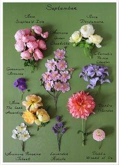 flowers are arranged on a green board with names