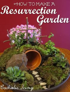 the front cover of a magazine with plants and rocks in it, on a wooden table