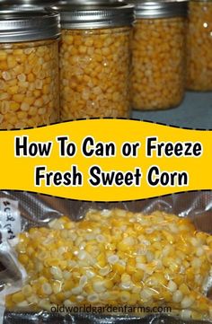 how to can or freeze fresh sweet corn