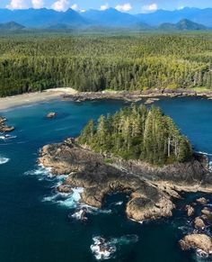 an aerial view of the ocean and coastline with pine trees in the foreground, surrounded by mountains