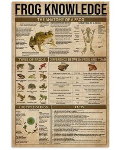 a poster with frogs and other animals on it's side, which includes information about frog