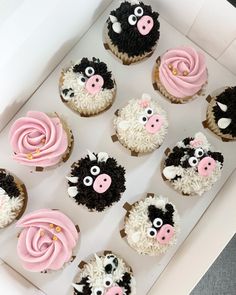 cupcakes decorated with black, white and pink frosting in a box