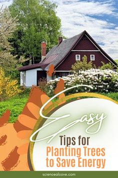 a house with the words easy tips for planting trees to save energy