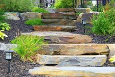 stone steps lead up to a garden area