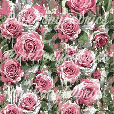 pink roses with green leaves on a floral background