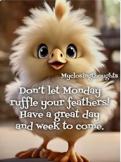 a cute little chicken with big eyes on it's face and the words, don't let monday ruffle your feathers have a great day and week to come