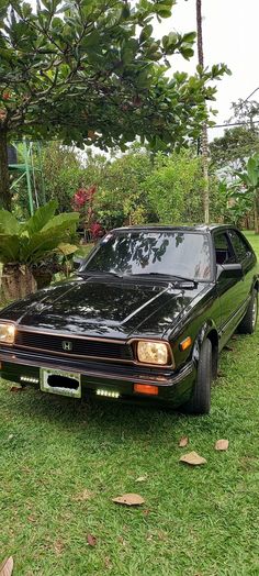 a black car parked on top of a lush green field next to a tree and shrubbery