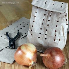 two onions on a cutting board next to a paper bag and pair of scissor