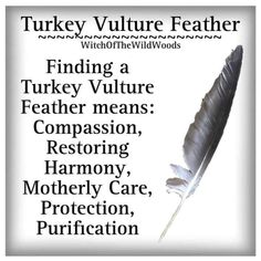 Feather Spiritual Meaning, Vulture Feather, Snake Symbolism, Feather Identification