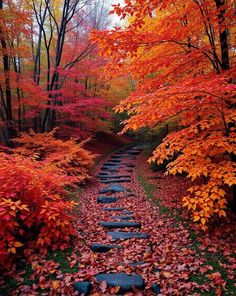 a stone path in the middle of a forest with autumn leaves on it and trees lining both sides