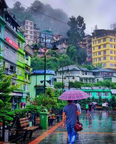 a man with an umbrella walks down the street in the rain near some buildings and trees