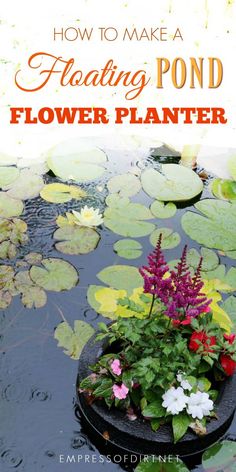 a pond with water lilies and pink flowers in it, text overlay reads how to make a floating pond flower planter