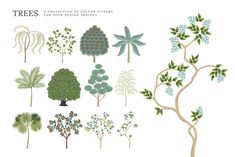 various trees and shrubs are shown in this illustration, with the words trees written below them