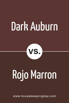 Dark Auburn SW 6034 by Sherwin Williams vs Rojo Marron SW 9182 by Sherwin Williams Brown Paint Colors, Terra Cotta Pot, Brown Paint, Statement Wall, Red Walls, Living Room Colors