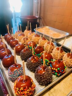 chocolate covered apples and candy sticks are arranged on a tray in front of other desserts