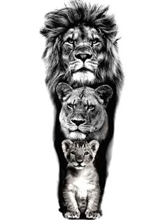 an image of two lions and a baby lion