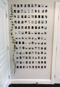 a white wall with pictures on it and a plant growing out of the bottom right corner