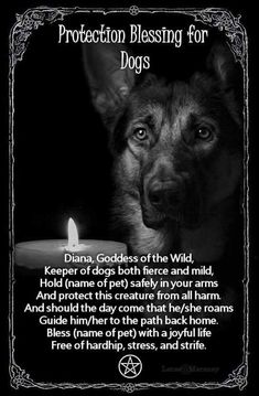 Dog Familiar, Wiccan Knowledge, Hedge Witchery, Protection Blessing, Spiritual Ideas, Witch Spells, Witchy Women, Witch Things