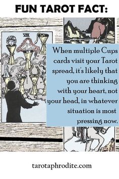 the tarot tarot fact is shown in this image, and it's not true