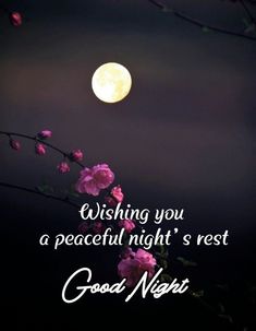 a full moon and some pink flowers with the words wishing you a peaceful night's rest