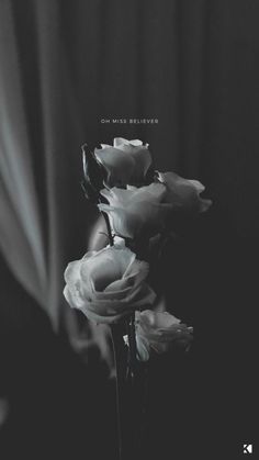 three white flowers are in a vase on a black and white background with the words, one miss belewow