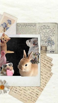 a collage of photos with animals and letters