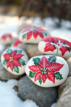 painted rocks with poinsettis on them in the snow