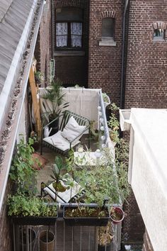 an apartment balcony with lots of plants and furniture