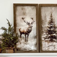 two framed pictures with deer and pine trees