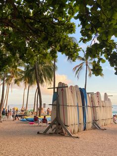 surfboards are lined up on the beach with people in the water and palm trees