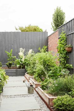 a garden with lots of plants and rocks in the ground, along side a fence