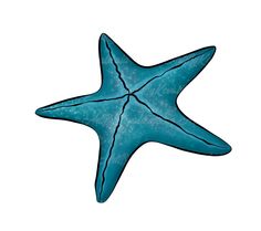 a blue starfish on a white background