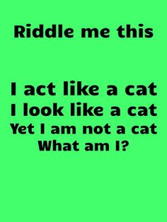 a green background with the words riddle me this i act like a cat i look like a cat yet i am not a cat what am i?