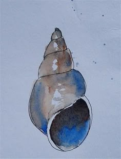 a watercolor painting of a blue and brown seashell on white paper with black ink