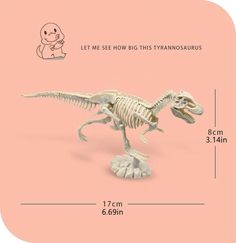 an image of a dinosaur skeleton on a pink background with the measurements for it's size