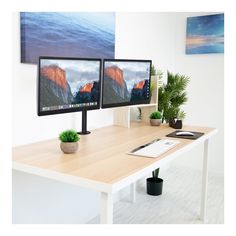 two computer monitors sitting on top of a desk next to a potted green plant