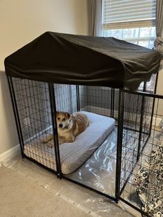 a dog laying on top of a bed in a cage