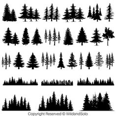 the silhouettes of different trees are shown